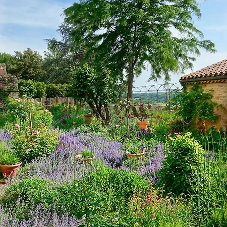 1 Logis A - Piscine & לינה וארוחת בוקר