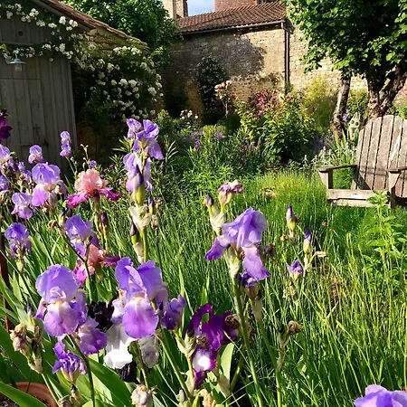 1 Logis A - Piscine & 4* דום