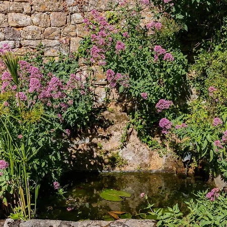 1 Logis A - Piscine & 4* דום