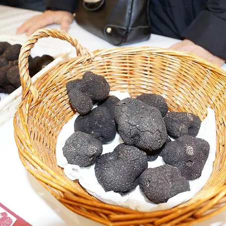 1 Logis A - Piscine & 4* דום