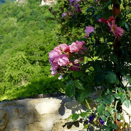 1 Logis A - Piscine & 4* Domme