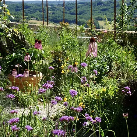 לינה וארוחת בוקר 1 Logis A - Piscine & דום