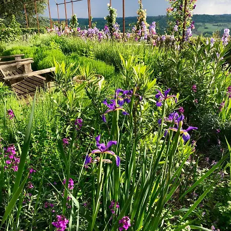 1 Logis A - Piscine & 4* Domme