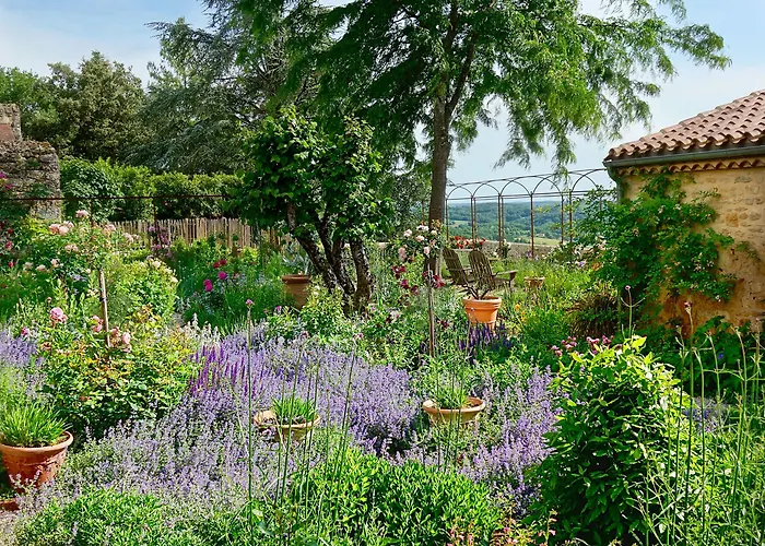 1 Logis A - Piscine & Отель типа 