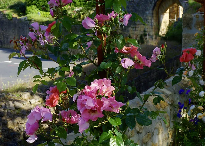 1 Logis A - Piscine & 4*