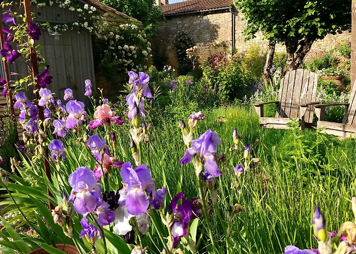 1 Logis A - Piscine & 4* Домм