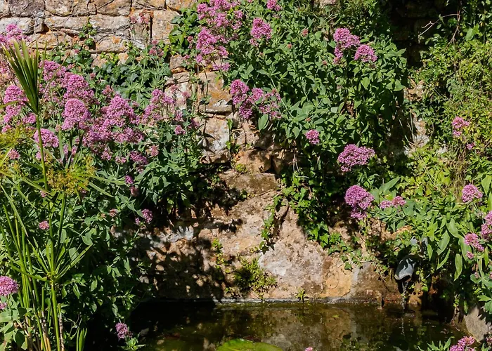 1 Logis A - Piscine & 4* Домм