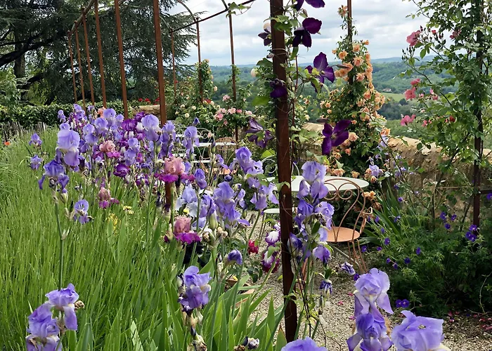 1 Logis A - Piscine & לינה וארוחת בוקר דום