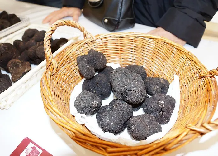 1 Logis A - Piscine & 4* Домм