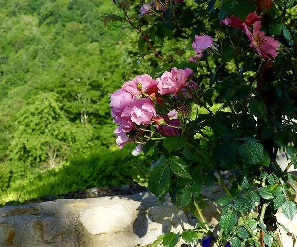 1 Logis A - Piscine & 4* Домм