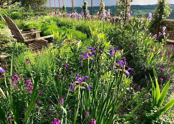 1 Logis A - Piscine & 4* Домм