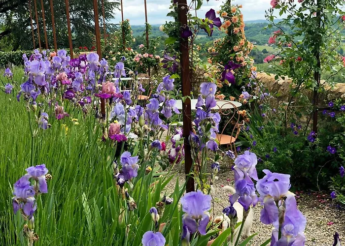 1 Logis A - Piscine & Отель типа 